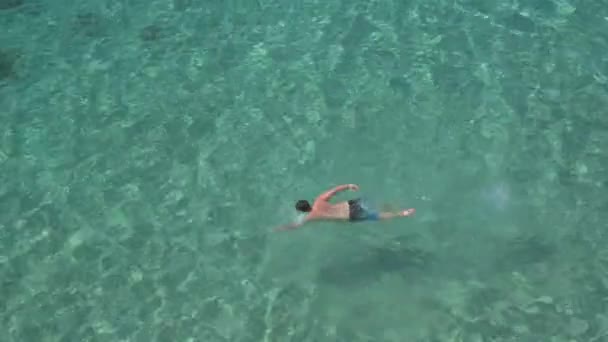 航空写真 アスレチック男ワークアウト 豪華な透き通ったターコイズ ブルーの海が見える砂浜海底で驚くほどの透明な水の美しい野生のビーチに向かって湾で高速水泳自由形ストローク — ストック動画