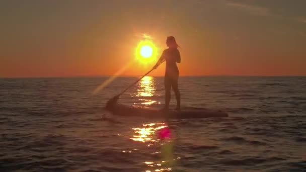 空中は クローズ アップ 柏木インフレータブル Paddleboard に乗って魔法の黄金の夕日の見事な海辺とアクティブな休暇を楽しんで上を飛んでください 波打つ海の表面に反映して太陽の光 — ストック動画