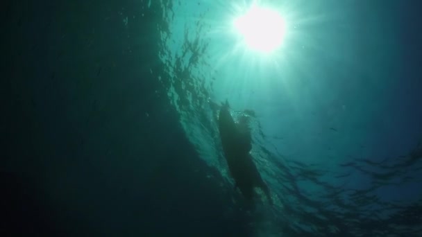 Slow Motion Underwater Young Man Paddling Out Surfboard Open Water — Stock Video