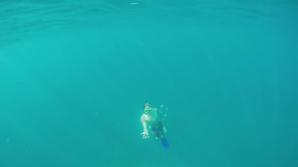 クローズ アップ スローモーション水中 男性ダイバーに息をする海の表面に来ていると彼の手で美しい赤いヒトデを保持します 男はシュノーケ リングや海の魅惑的な動物の生活を見つけること — ストック動画