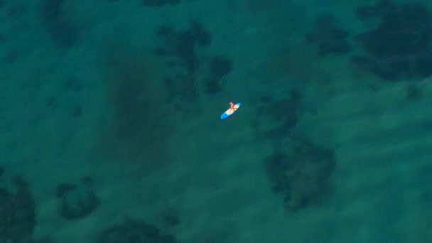 Antenn Flyger Över Kvinnan Rosa Bikini Standup Paddleboarding Blå Uppblåsbar — Stockvideo