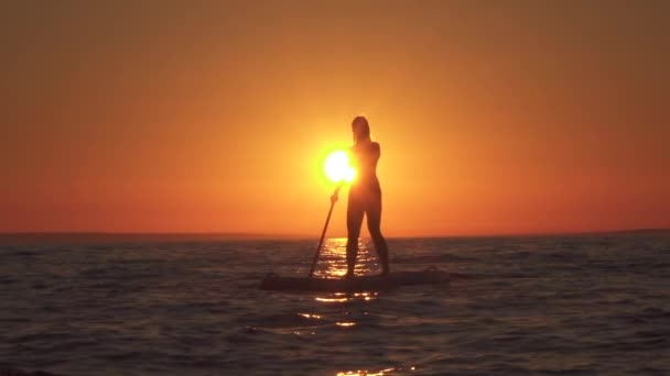 スローモーションをクローズ アップ アクティブなスポーティな女の子インフレータブル Sup の上に立って 素晴らしい黄金夕暮れパドリング美しいビーチを眺めします 女性のパドルを使って水をゆっくりと自分自身を推進 — ストック動画