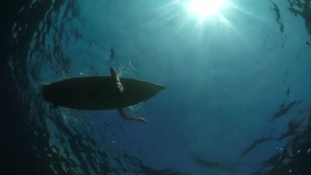 Slow Motion Onderwater Jonge Vrouw Uit Peddelen Surfplank Open Water — Stockvideo