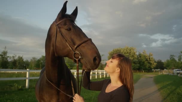 Moción Lenta Cerrar Hermosa Jinete Hembra Acariciar Besar Caballo Alto — Vídeos de Stock