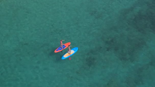 在美丽清澈的海洋中 超过2个女孩在 Suup 木板上划水 并在令人叹为观止的阳光明媚的夏日里闲逛 阳光穿透水面 露出惊人的岩石海底 — 图库视频影像
