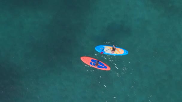 Aerial Distancing Active Girls Standup Paddle Boards Paddling Parlament Same — стоковое видео