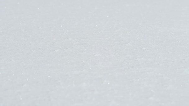 暖かい冬の太陽の下で輝く平面フィールドに新鮮な雪のクローズ アップ スローモーション Dof 美しい滑らかなシート 夢のような風景が美しい日当たりの良いクリスマスの日に輝く白い雪に覆われた毛布で覆われて — ストック動画