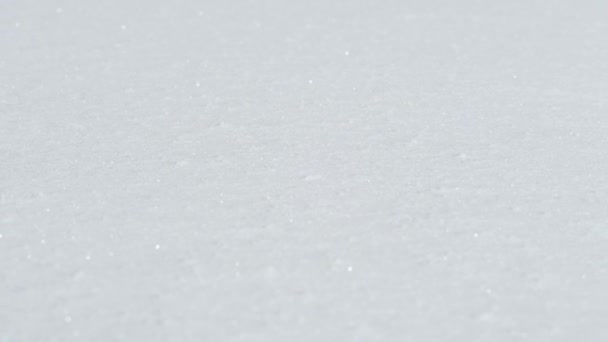 Slow Motion Chiudi Dof Bellissimo Foglio Liscio Neve Fresca Sul — Video Stock