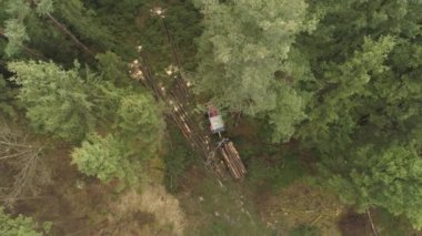 Hava mesafe uçan günlük kamyon takas orman üzerinde yığılmış traktör delimbed kesilmiş ağaç gövdeleri yığını kaldırma yukarıda. Hasat nakliye kütükleri için kereste yükleme iletici
