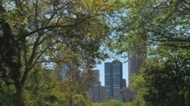 Düşük görüş açısı: uzun boylu modern cam gibi gökdelenler Midtown Manhattan'ın doğru New York City Central Park içinde güzel güneşli yaz gününde ağaç avenue sürüş. Metropolis'te lüks Emlak