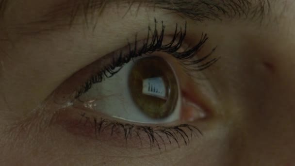 Zbliżenie Makro Szczegół Brązowy Female Oko Skanowania Pośrednictwem Dokumentu Ekranie — Wideo stockowe