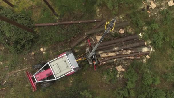 空中距離森林伐採の積み上げのトラクターの Delimbed カット木の幹の山を持ち上げてログ トラックの上を飛んでください フォワーダーの切り株から製材所へ輸送のための収穫の読み込み — ストック動画