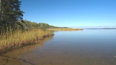 Yakın: Boreal forest sulak alanlar, bataklıklar ve MDBF interspread iğne yapraklı Ladin ve çam ağaçları tarafından baskın. Büyük tatlı su ve tuzlu su havzası sütyen kapı gölde Nova Scotia, Kanada