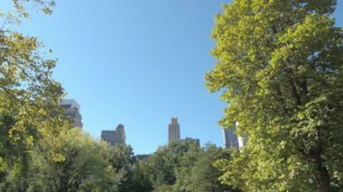 Düşük görüş açısı: Central Park'tan Highrise konut, daire, condominiums, lüks Emlak, ofisler ve Midtown Manhattan, New York City, modern cam gibi gökdelenler bloklarını göster
