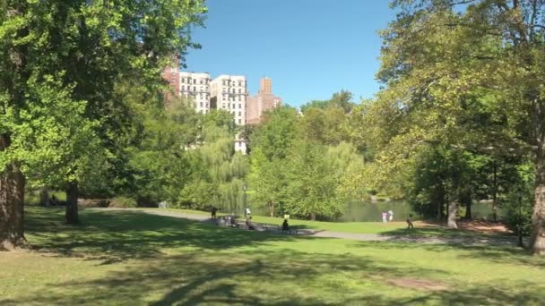 New York Usa September Människor Umgås Sitter Bänkar Och Promenader — Stockvideo