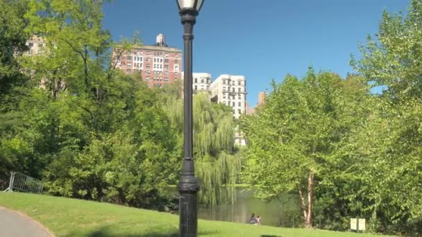 ニューヨークで晴れた日に緑の空間セントラルパークを見事なのプールの周りの木々 の緑豊かな緑の春紅葉をクローズ アップ 背の高い住宅とバック グラウンドでフラットの高級ブロック — ストック動画