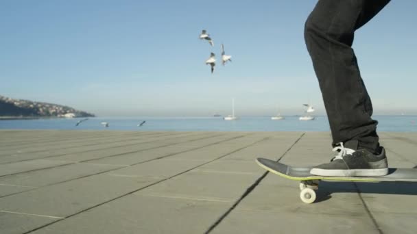 슬로우 가까이 Dof 인식할 스케이트 갈매기를 해변에 콘크리트 화창한 거리를 — 비디오