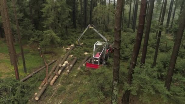 Aerial Close Літаючи Над Збиранням Лісозаготівельної Вантажівки Піднімаючи Купу Обрізаних — стокове відео