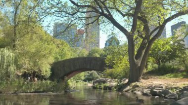 Yakın: İkonik taş Gapstow köprü su birikintisi içinde güneşli Nyc Central Park çarpıcı yaz gününde yukarıda. Lüks camsı gökdelenler, ofis binaları, kurumsal kuleleri New York şehir manzarası oluşturma
