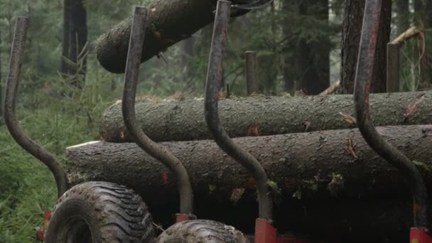 Movimiento Lento Cerrar Dof Garra Que Pone Montón Troncos Cortados — Vídeos de Stock