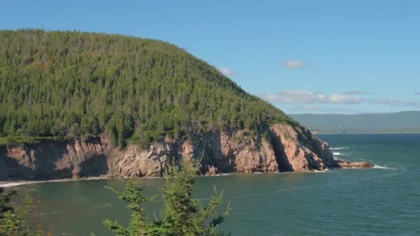 クローズ アップ スプルース梢の急な岩の表面を明らかで覆われているカナダの海岸で針葉樹林に早く日当たりの良い秋の日です 海の上の上昇背の高い崖を見下ろす海岸に沿って運転 — ストック動画