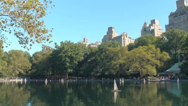 Cerrar Gente Exhibiendo Veleros Artesanales Caseros Conservatory Water Famoso Soleado — Vídeo de stock