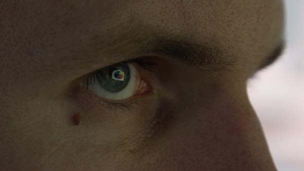 CLOSE UP, MACRO : Personne méconnaissable travaillant sur PC à la recherche dans le moniteur et l'analyse des données de diagramme à secteurs. Les yeux bleus de l'homme d'affaires réfléchissant l'écran d'ordinateur lors de l'analyse des informations de la table 