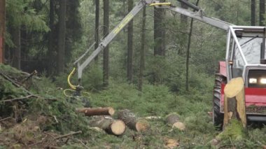 Yavaş Hareket, Yakın Çekim, Dof: Pençe yoğun büyümüş ormanda yığılmış traktör üzerinde delimbed kesilmiş kütükleri ve ağaç gövdeleri yığını koyarak. Kereste fabrikasına taşıma için forwarder yükleme hasadı