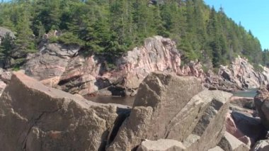 Yakın: Büyük keskin volkanik kayalara cliffy engebeli arazide Cape Breton Adası, Nova Scotia, Kanada orman kaplı. Kırmızı taşlar ve kıyı erozyonu tarafından üretilen dik kayalık uçurum yıkama okyanus