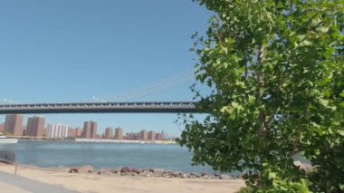 Düşük Açı Görünümü: Aşağı Manhattan ve Brooklyn şehir merkezinde mahalle bağlayan arka planda konut kule blokları ile yemyeşil ginkgo ağacının arkasında East River üzerinden Ünlü Manhattan köprü