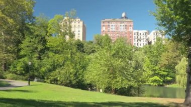 Yakın: Yemyeşil yeşil bahar yeşillik yeşil alan Central Park güneşli günde New York'ta çarpıcı havuz etrafında ağaçlarda. Yüksek Konut binaları ve lüks blok daireler içinde belgili tanımlık geçmiş