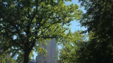 Düşük görüş açısı: lüks gökdelenler, kurumsal binalar ve ofis kuleleri açık mavi gökyüzü karşı ifşa gür yeşil ağaç gölgelik. Görünüm ikonik Manhattan Skyline üzerinden New York City Central Park