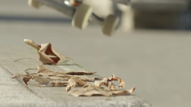 SLOW MOTION, CLOSE UP, DOF : Skateboarder méconnaissable sautant et glissant sur un banc en béton dans la rue. Roues de broyage sèches feuilles d'automne. Skater skateboard, faire des tours avec skateboard 