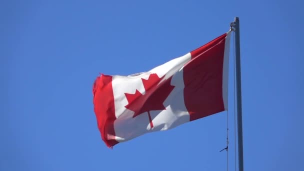 Motion Lent Fermer Drapeau Canadien Agitant Brise Douce Été Contre — Video