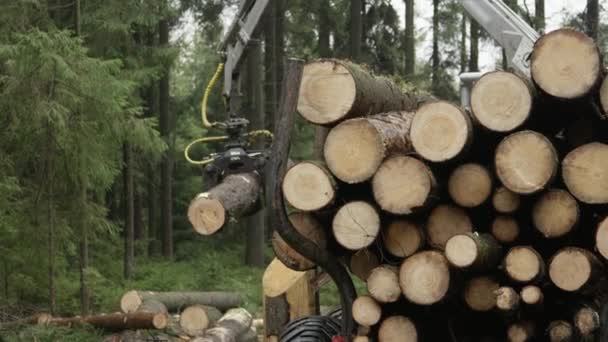 慢动作特写 Dof 在堆放的拖拉机上 在收集收获的木桩上 将爪子抬起并放上被砍掉的树干 转运商装载货物 以便运输到锯木厂 — 图库视频影像