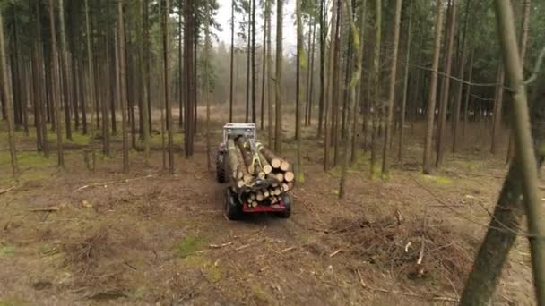 Timberjack收割机与装载的拖车运输砍伐和堆叠的原木到锯木厂切割 从林地到木材厂的收集树干的运输 — 图库视频影像