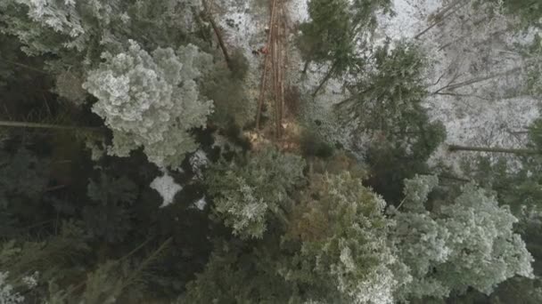 Havadan Yaklaşma Kar Ladin Kanopilerle Kaplı Uzun Boylu Orman Açıklıklarında — Stok video