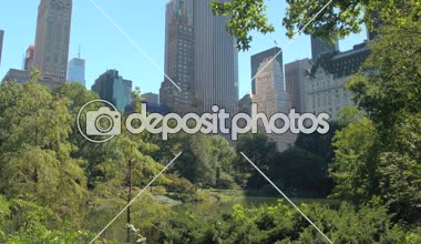 Düşük görüş açısı: Fifth Avenue ve Central Park Güney bölümündeki en gözde konut New York şehrinin ünlü diğer kurumsal gökdelenler ile birlikte inşa yer alan Plaza lüks otel