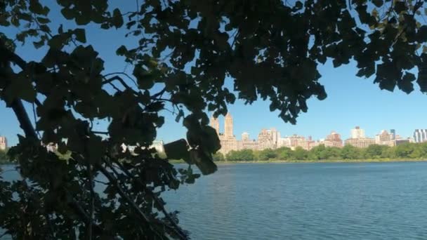 マンハッタンのアッパー ウエスト サイドの豪華なアパートメントと 300 中央公園西住宅を見下ろす緑豊かな中央公園での美しいジャクリーン ケネディ オナシス貯水池を明らかに木の枝 — ストック動画