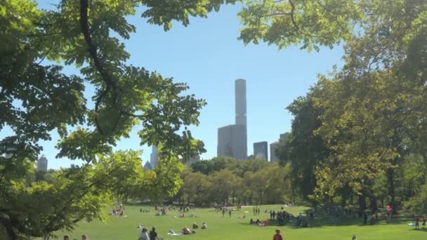 Fechar Famílias Crianças Casais Jovens Idosos Amigos Turistas Desfrutando Relaxante — Vídeo de Stock