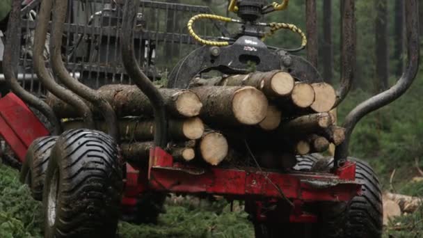 Close Dof Комбайн Timberjack Гойдалкою Рукою Кігтем Буксирування Напівзавантаженого Лісозаготівельного — стокове відео