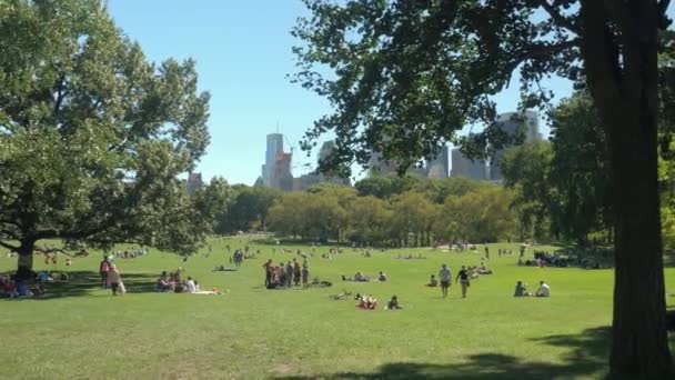 クローズ アップ 子供たち 若者やシニアのカップル 緑豊かな中央公園でリラックスした晴れた日の観光客 ピクニック 羊の牧草地で日光浴の女性のゲームを遊んでいる子供たちを持つ人々 — ストック動画
