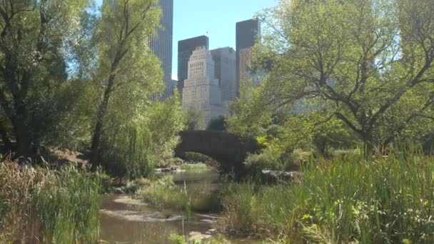 クローズ アップ 象徴的な石池晴れたニューヨーク セントラル パーク美しい夏の日の上に Gapstow 高級ガラス高層ビル 事務所ビル ニューヨーク市のスカイラインを作成する企業の塔 — ストック動画