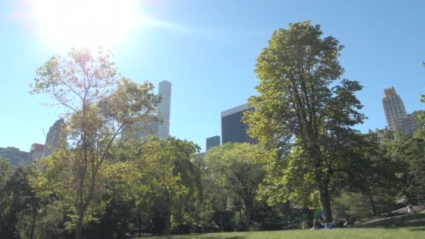 Pessoas Saindo Correndo Relaxando Tomando Sol Central Park Ensolarada Cidade — Vídeo de Stock