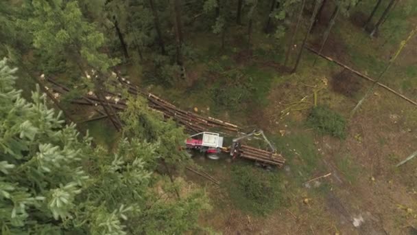 Luchtfoto Distantiëren Vliegen Boven Logboekregistratie Vrachtwagen Opheffend Stapel Delimbed Gesneden — Stockvideo