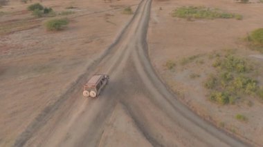 Hava, diyaloğun: safari jeep oyunu geniş kurak savannah otlak bushland aracılığıyla mutlu turist şaşırtıcı Altın ışık güneşli sabah erken üzerinde güzel Tarangire Milli Park alanında sürüş yukarıda uçan