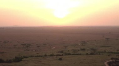 Hava: dramatik sonsuz savannah otlak manzara muhteşem Serengeti ovaları altın gün ışığına parlayan yukarıda uçan. Küçük sarma brook ve vahşi çalışan tozlu safari yol