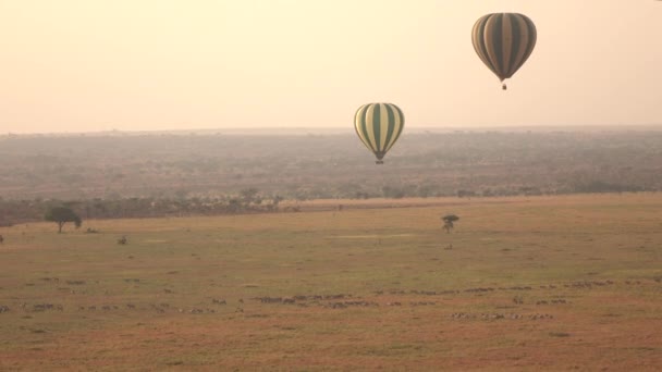 Antenn Turister Flytande Varm Luft Ballong Safari Över Magnifika Savanna — Stockvideo