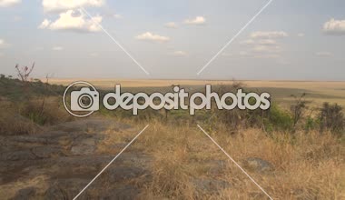 Hava: muhteşem manzara - yeşil akasya ağacı woodland ve bitmeyen büyük savannah otlak ovalarının Serengeti Ulusal Parkı'nda yukarıda uçan. Mesafe safari jeep yükselterek toz toprak yol üzerinde