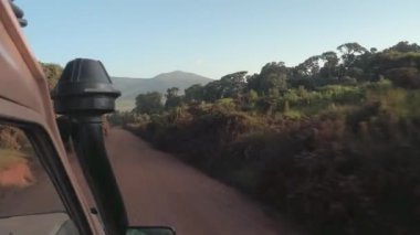 FPV, Close Up: Tüm arazi safari jeep tozlu dağ yolda gür yeşil savanna orman orman ünlü Serengeti Ulusal Parkı ' na yaban hayatı kutsal Tanzanya sevk turist oyun dolu